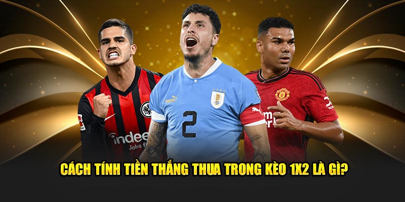 Cách tính tiền thắng thua trong kèo 1x2 là gì?